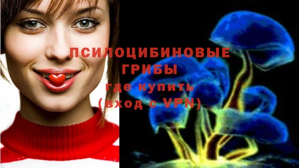 jwh Вяземский